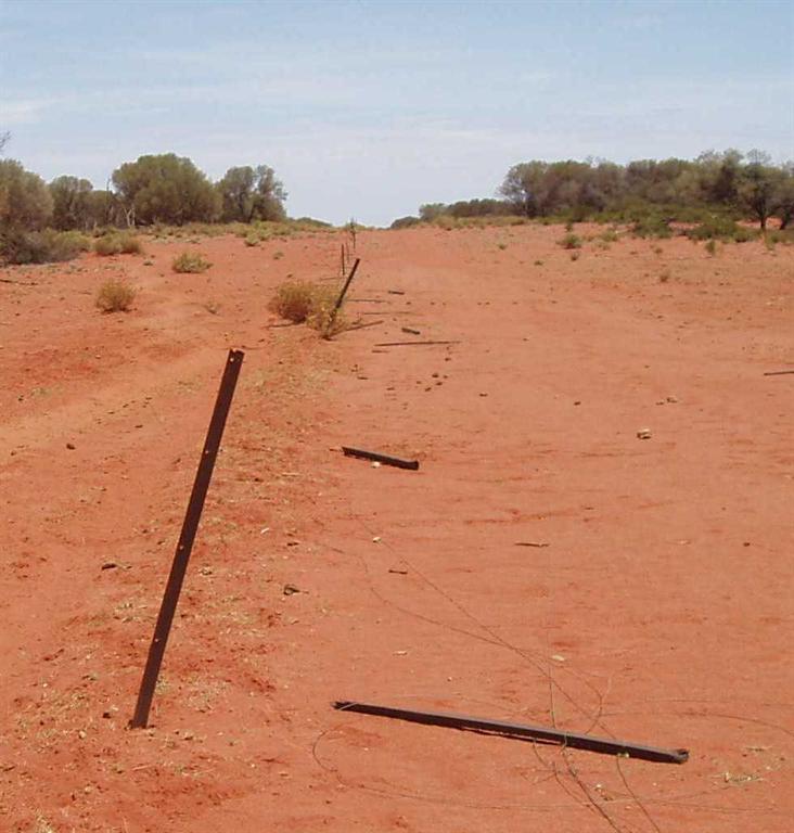 Fence damaged by Feral Camels, image L Mathews